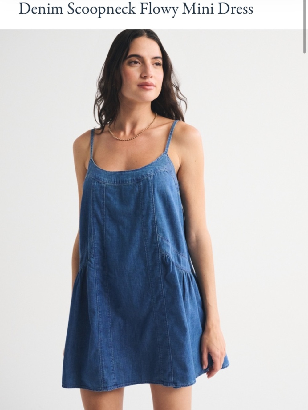 New with Tags Abercrombie Denim Dress